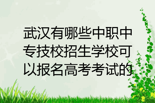 武汉有哪些中职中专技校招生学校可以报名高考考试的