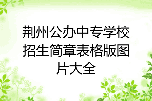 荆州公办中专学校招生简章表格版图片大全