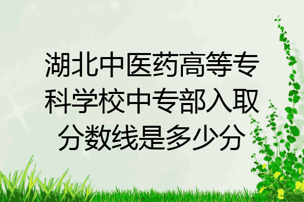 湖北中医药高等专科学校中专部入取分数线是多少分