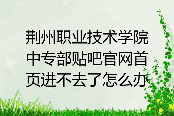 荆州职业技术学院中专部贴吧官网首页进不去了怎么办