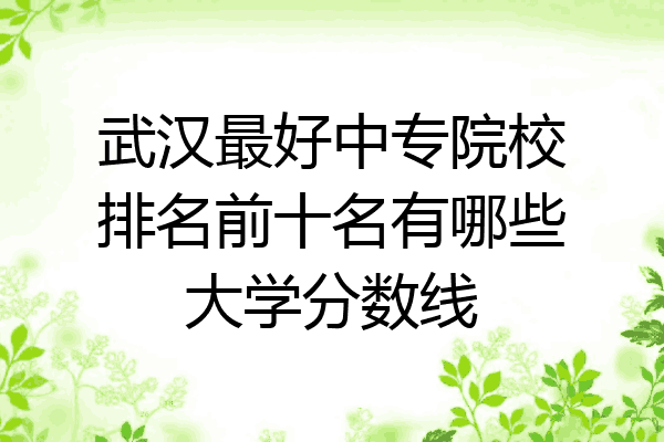 武汉最好中专院校排名前十名有哪些大学分数线