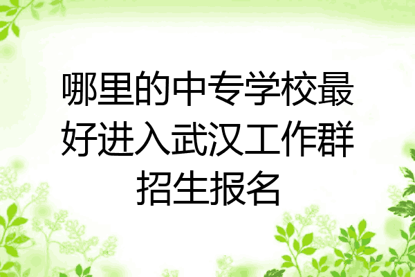 哪里的中专学校最好进入武汉工作群招生报名