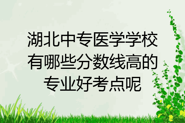湖北中专医学学校有哪些分数线高的专业好考点呢
