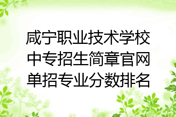 咸宁职业技术学校中专招生简章官网单招专业分数排名