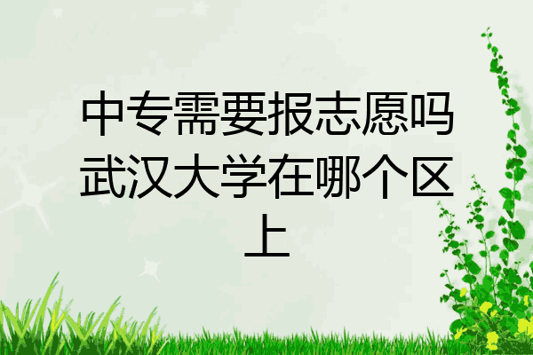中专需要报志愿吗武汉大学在哪个区上