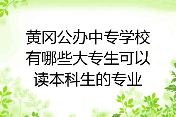 黄冈公办中专学校有哪些大专生可以读本科生的专业