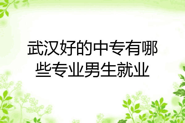 武汉好的中专有哪些专业男生就业