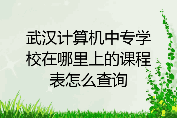 武汉计算机中专学校在哪里上的课程表怎么查询