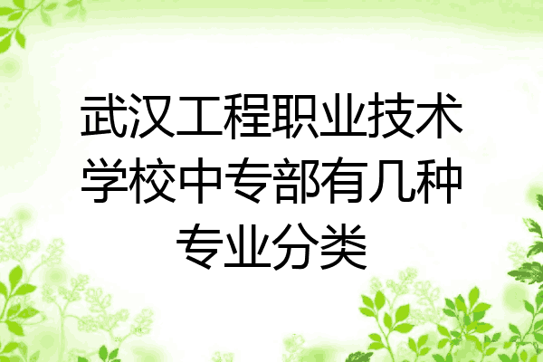 武汉工程职业技术学校中专部有几种专业分类