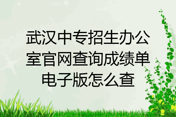 武汉中专招生办公室官网查询成绩单电子版怎么查
