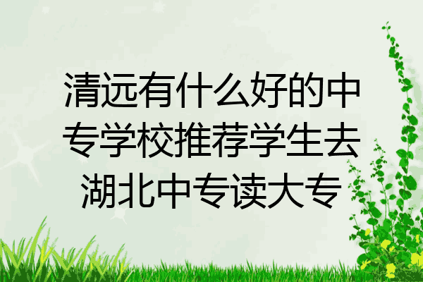 清远有什么好的中专学校推荐学生去湖北中专读大专