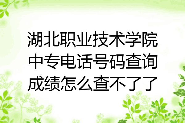 湖北职业技术学院中专电话号码查询成绩怎么查不了了