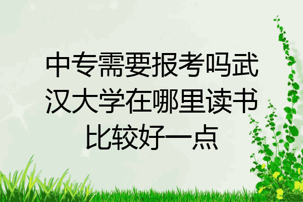 中专需要报考吗武汉大学在哪里读书比较好一点