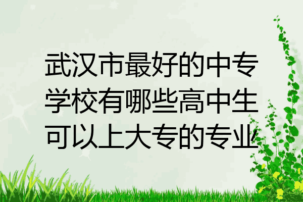 武汉市最好的中专学校有哪些高中生可以上大专的专业