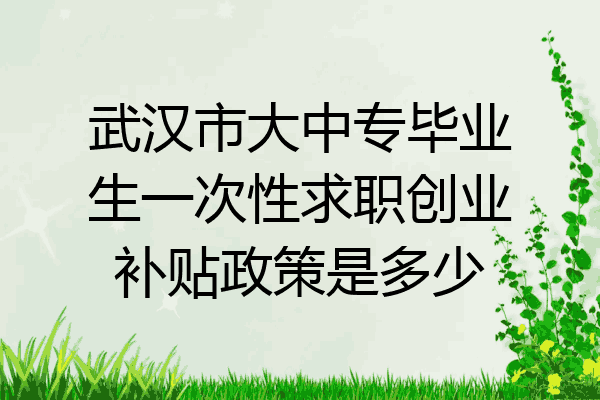 武汉市大中专毕业生一次性求职创业补贴政策是多少
