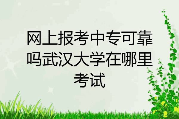 网上报考中专可靠吗武汉大学在哪里考试