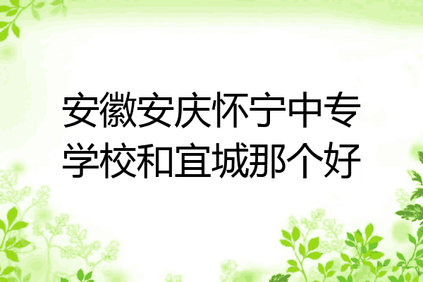 安徽安庆怀宁中专学校和宜城那个好