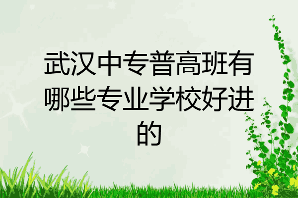 武汉中专普高班有哪些专业学校好进的