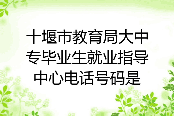 十堰市教育局大中专毕业生就业指导中心电话号码是