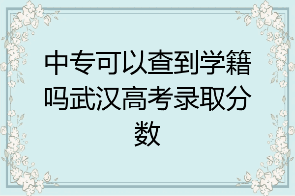 中专可以查到学籍吗武汉高考录取分数