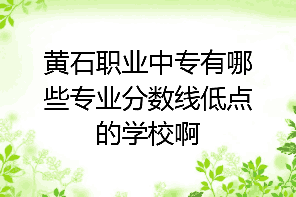黄石职业中专有哪些专业分数线低点的学校啊