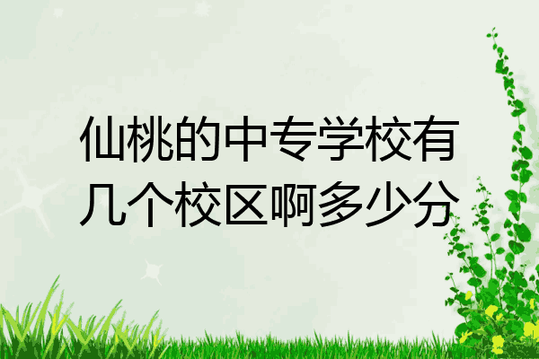 仙桃的中专学校有几个校区啊多少分