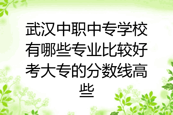 武汉中职中专学校有哪些专业比较好考大专的分数线高些