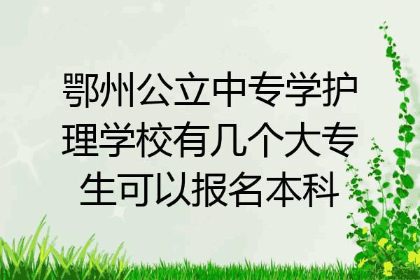 鄂州公立中专学护理学校有几个大专生可以报名本科