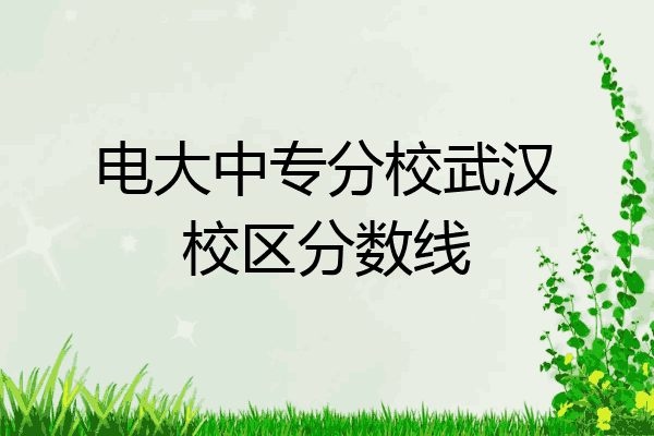 电大中专分校武汉校区分数线