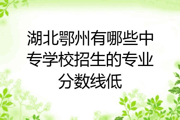 湖北鄂州有哪些中专学校招生的专业分数线低