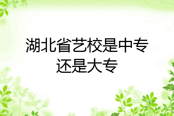 湖北省艺校是中专还是大专