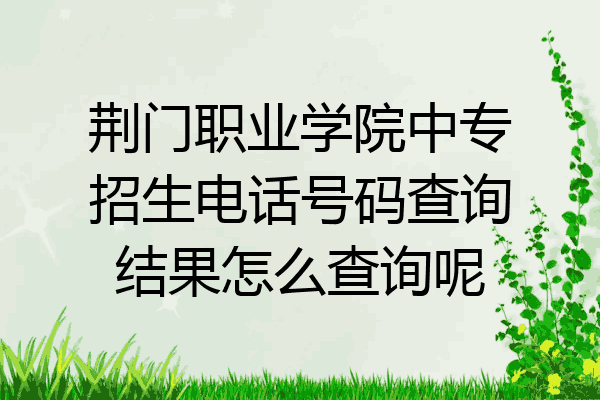 荆门职业学院中专招生电话号码查询结果怎么查询呢
