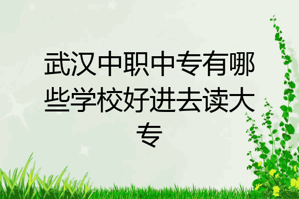 武汉中职中专有哪些学校好进去读大专