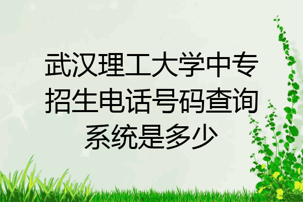 武汉理工大学中专招生电话号码查询系统是多少