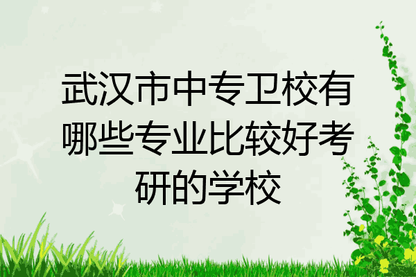 武汉市中专卫校有哪些专业比较好考研的学校