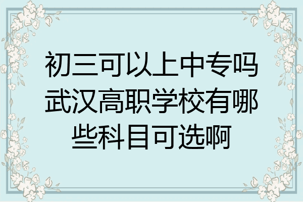 初三可以上中专吗武汉高职学校有哪些科目可选啊
