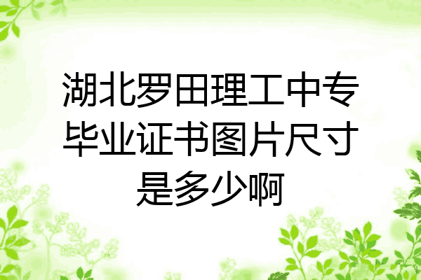 湖北罗田理工中专毕业证书图片尺寸是多少啊