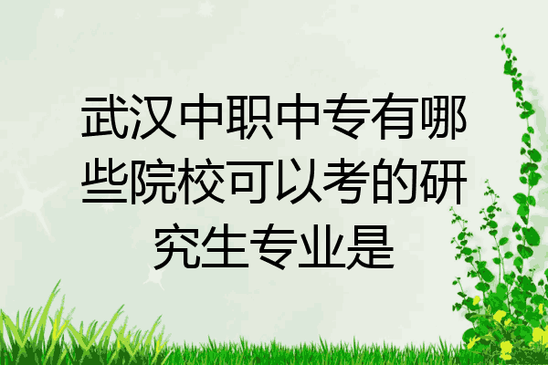 武汉中职中专有哪些院校可以考的研究生专业是