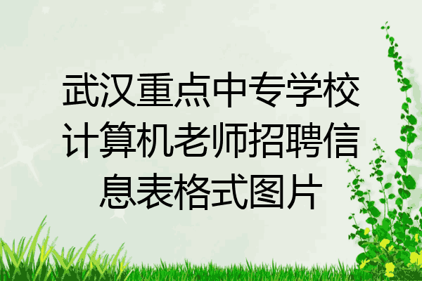 武汉重点中专学校计算机老师招聘信息表格式图片
