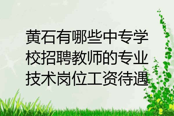 黄石有哪些中专学校招聘教师的专业技术岗位工资待遇