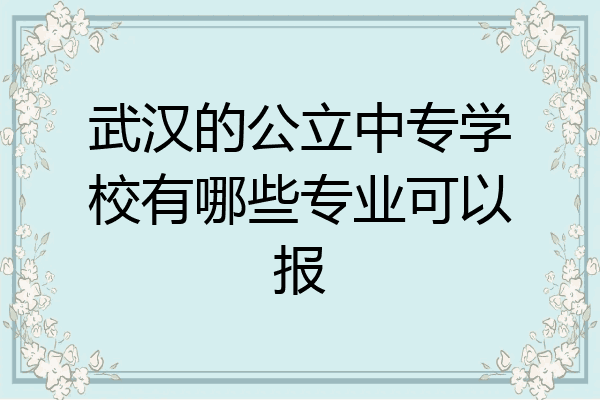 武汉的公立中专学校有哪些专业可以报