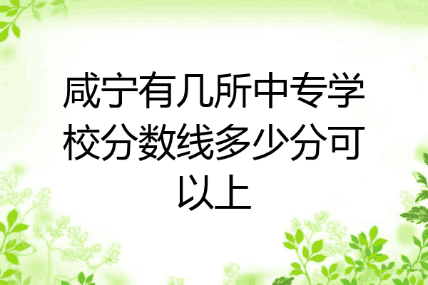 咸宁有几所中专学校分数线多少分可以上
