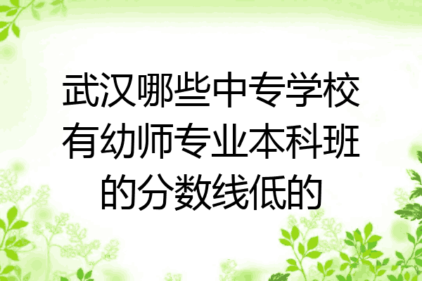 武汉哪些中专学校有幼师专业本科班的分数线低的