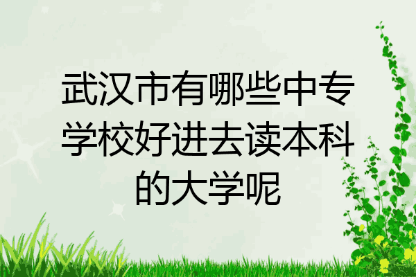 武汉市有哪些中专学校好进去读本科的大学呢