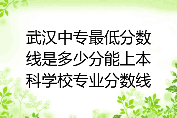 武汉中专最低分数线是多少分能上本科学校专业分数线