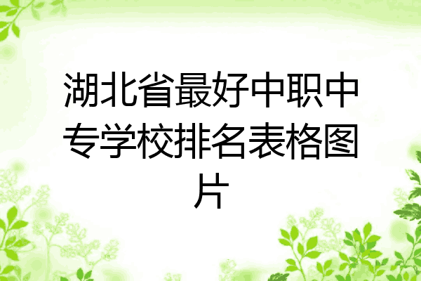 湖北省最好中职中专学校排名表格图片