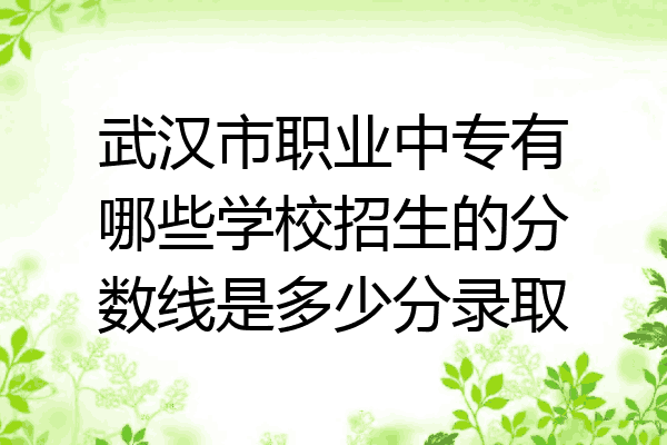 武汉市职业中专有哪些学校招生的分数线是多少分录取