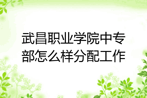 武昌职业学院中专部怎么样分配工作