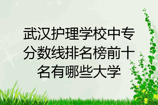 武汉护理学校中专分数线排名榜前十名有哪些大学