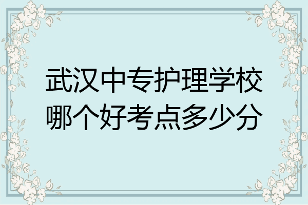 武汉中专护理学校哪个好考点多少分